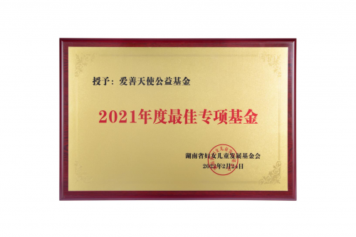 再获荣誉，爱善天使被湖南省妇儿基金会授予2021年度最佳专项基金(图1)