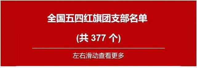 涉县八路军一二九师纪念馆团支部荣获全国五四红旗团支部荣誉(图4)