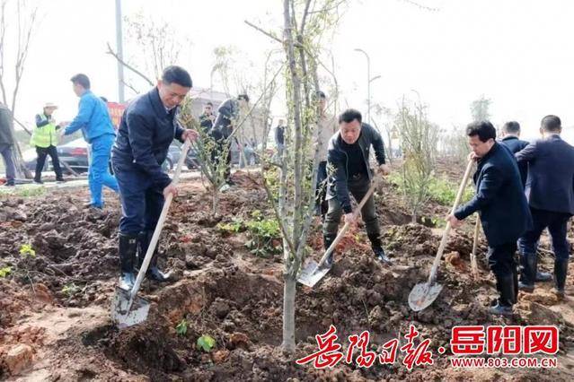 岳阳林纸党委书记、董事长叶蒙喜获“全国绿化劳动模范”称号(图2)