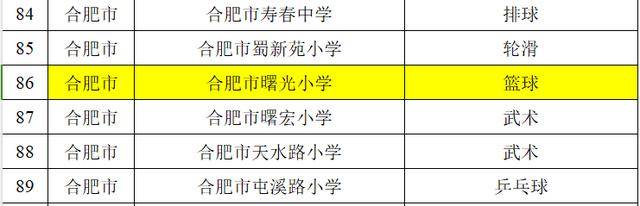 合肥市曙光小学荣获“安徽省体育特色传统学校”荣誉称号(图2)