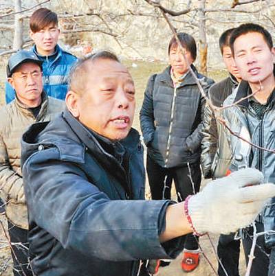 绿了荒山 富了百姓（奋斗百年路 启航新征程·“人民楷模”国家荣誉称号获得者）(图1)